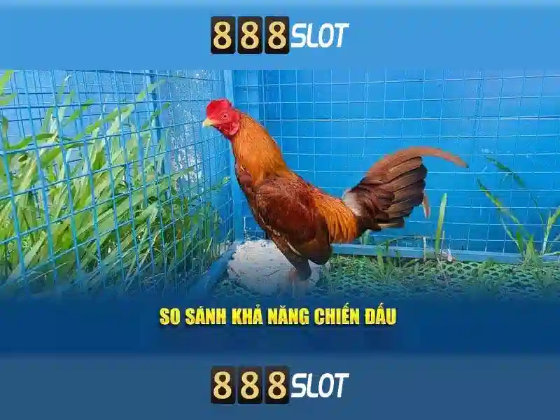 bảo mật tài khoản - 888SLOT bảo mật tài khoản - 888SLOT