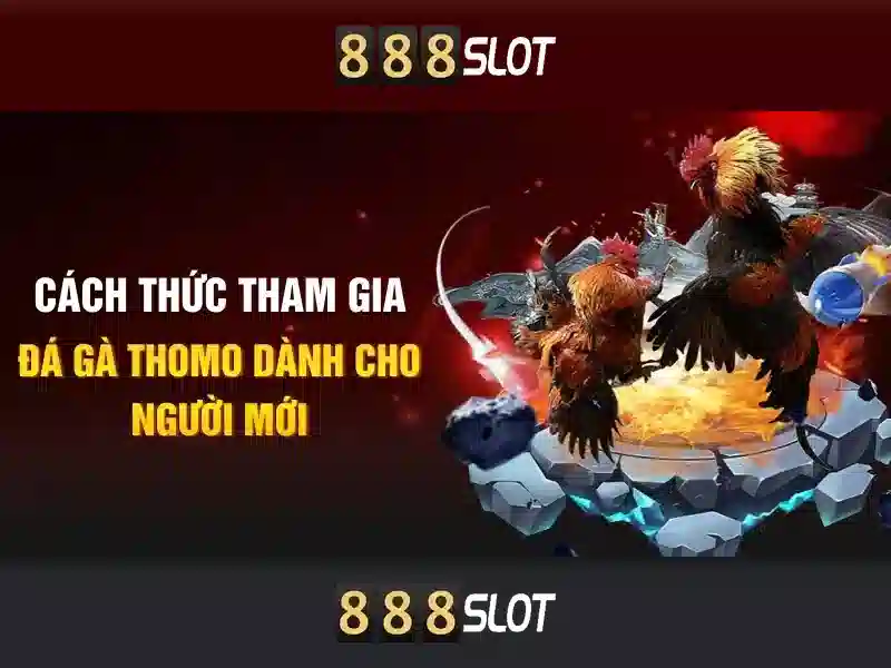 888slot - Nền tảng cược trực tuyến uy tín và tối ưu cho người chơi | gaongonanhhao.com 888slot - Nền tảng cược trực tuyến uy tín và tối ưu cho người chơi | gaongonanhhao.com